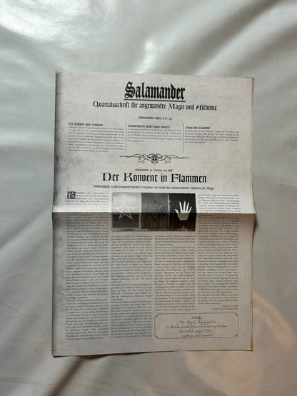DSA, Aventurischer Bote Nr. 191 - Ansicht 2