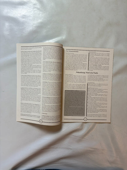 DSA, Aventurischer Bote Nr. 85 - Ansicht 4