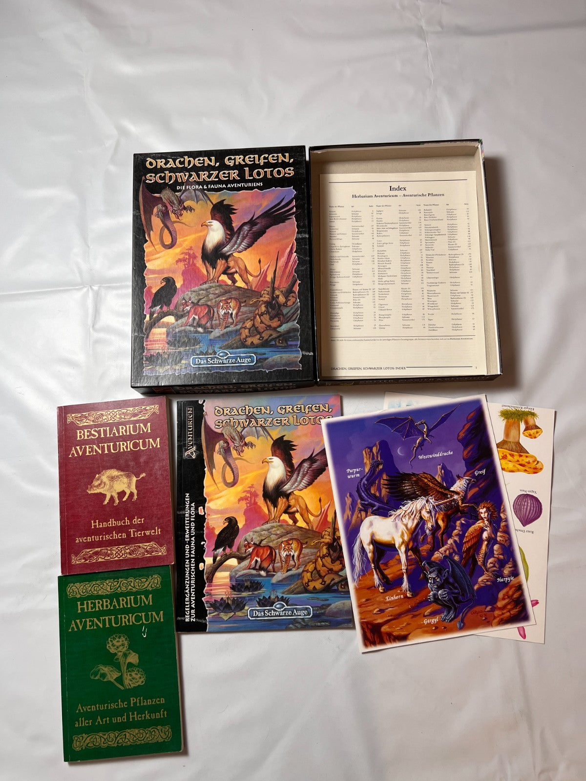 DSA Das Schwarze Auge Drachen Greifen Schwarzer Lotos Box Fanpro - Vollständig - Ansicht 2