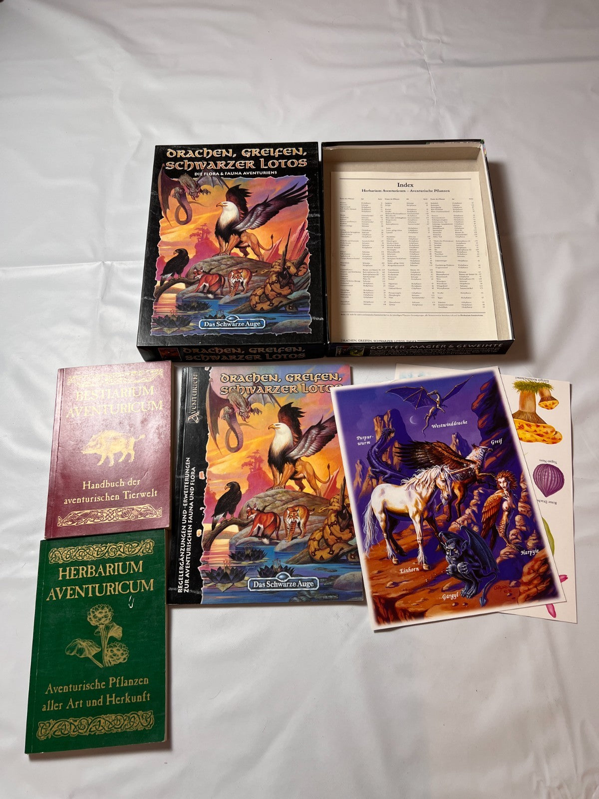 DSA Das Schwarze Auge Drachen Greifen Schwarzer Lotos Box Fanpro - Vollständig - Ansicht 3