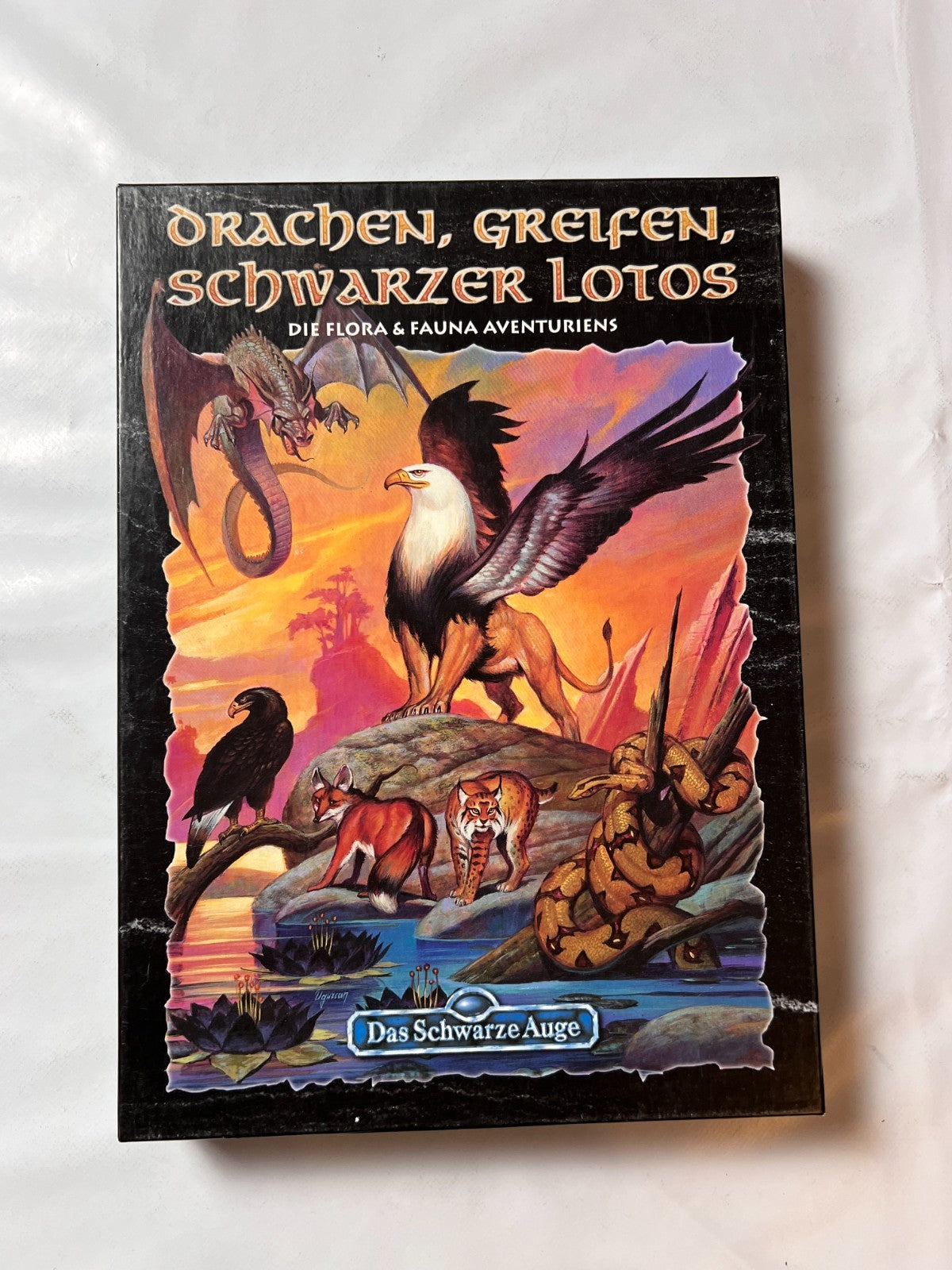 DSA Das Schwarze Auge Drachen Greifen Schwarzer Lotos Box Fanpro - Vollständig - Ansicht 4