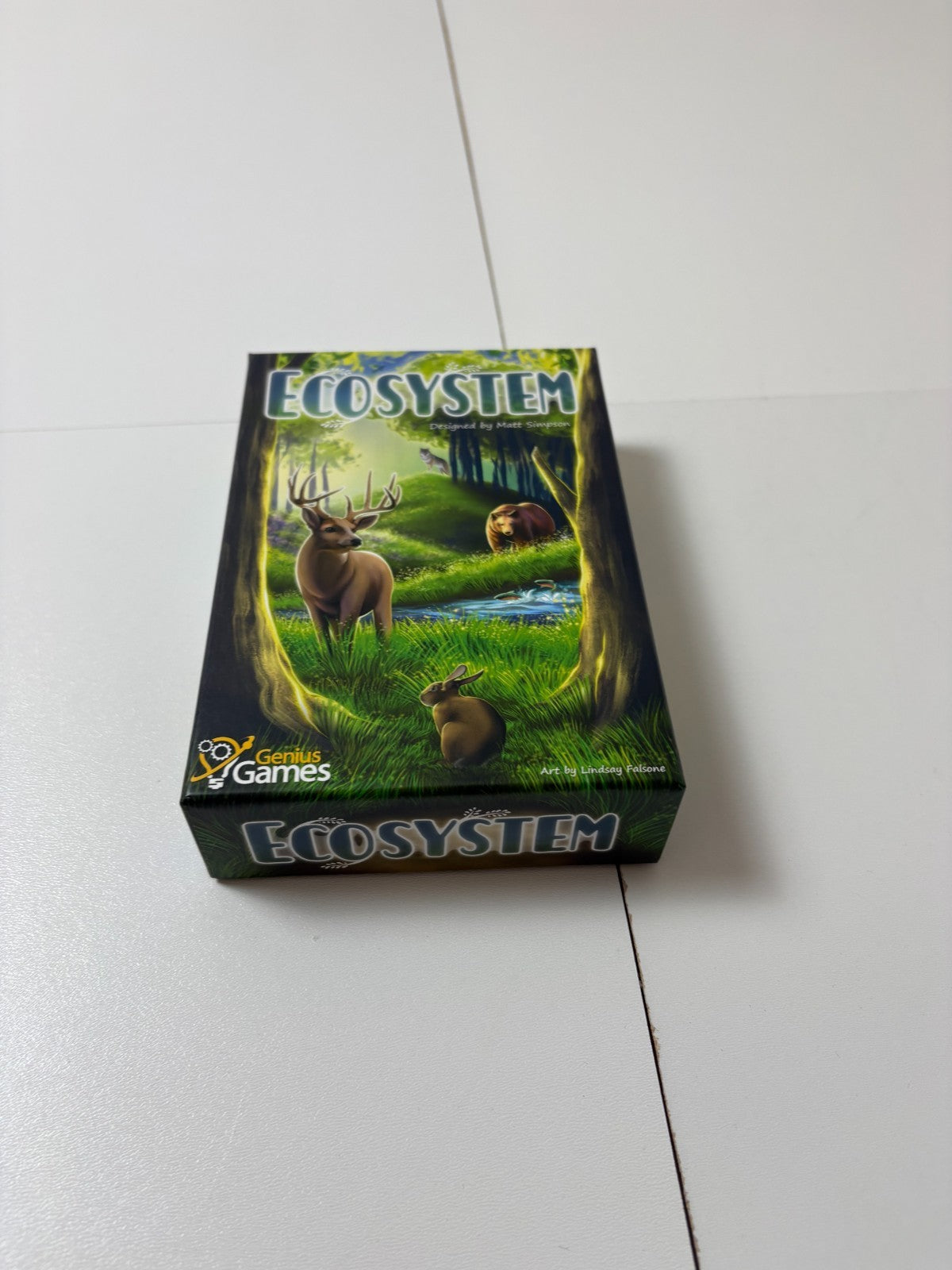 Ecosystem Ökologie-Lege-Spiel englische Ausgabe Genius Games - Vollständig - Ansicht 3