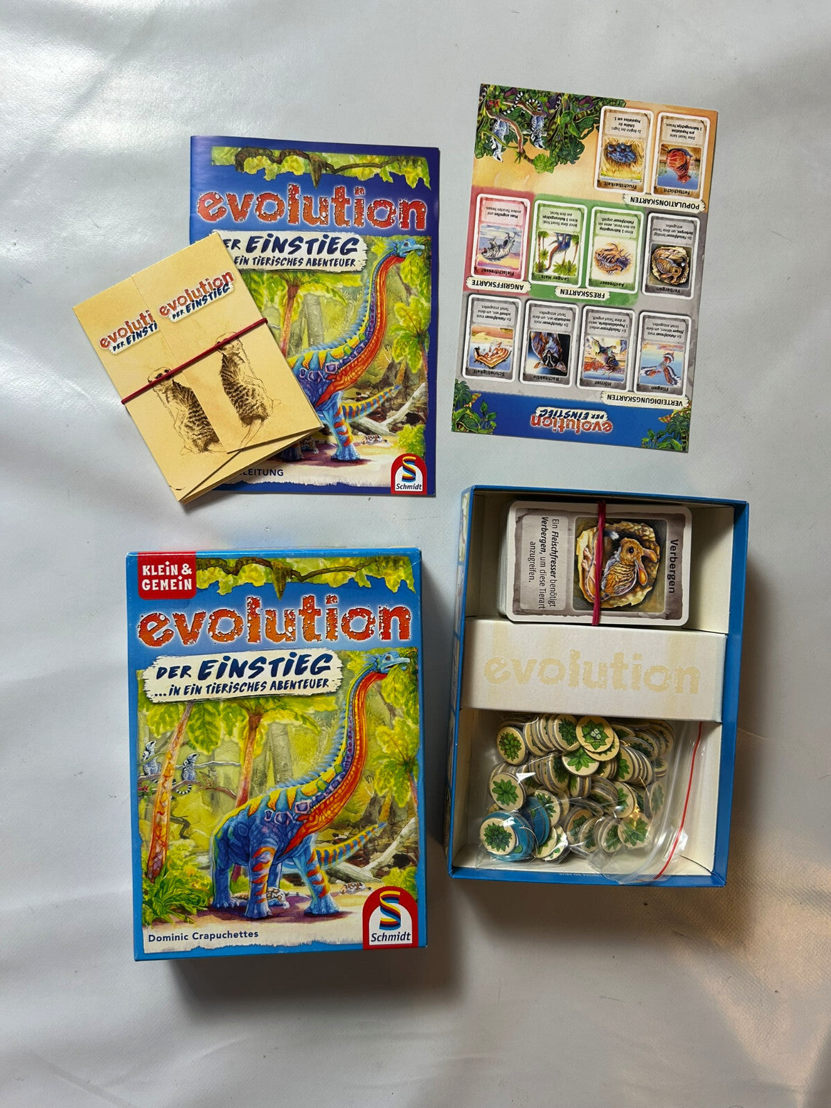 Evolution Der Einstieg - Schmidt Spiele - Kartenspiel - Vollständig - Ansicht 6