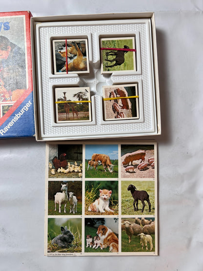 Tierbabys Lotto von Ravensburger 1976 - vollständig - Ansicht 3
