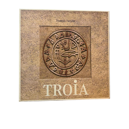 TROIA DAS GRABUNGS SPIEL VON DAIMLER/CHRYSLER  Vollständig - Ansicht 1