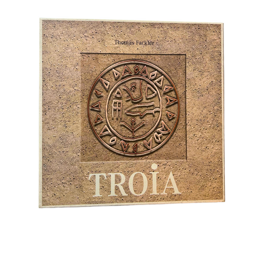 TROIA DAS GRABUNGS SPIEL VON DAIMLER/CHRYSLER  Vollständig - Ansicht 1